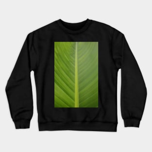 Palm Leaf Crewneck Sweatshirt